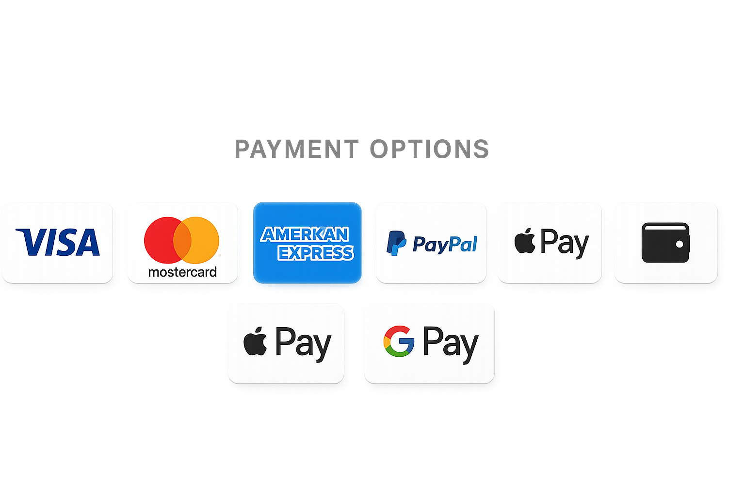 Payment Options image in footer